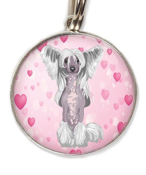 chinese-crested-wit-huisdierpenning-hartjes