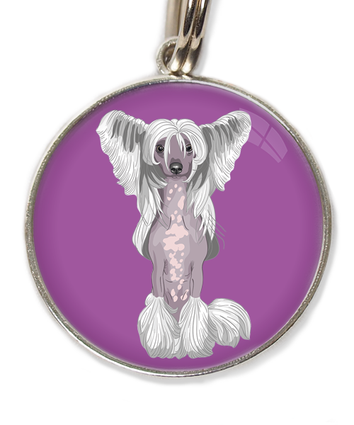 chinese-crested-wit-huisdierpenning-lilla