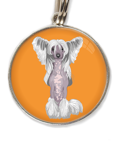chinese-crested-wit-huisdierpenning-oranje