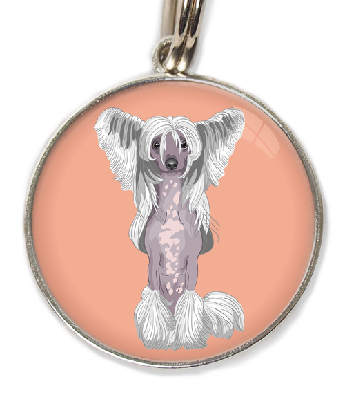 chinese-crested-wit-huisdierpenning-peach