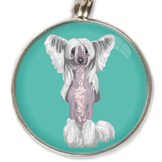 Chinese Crested