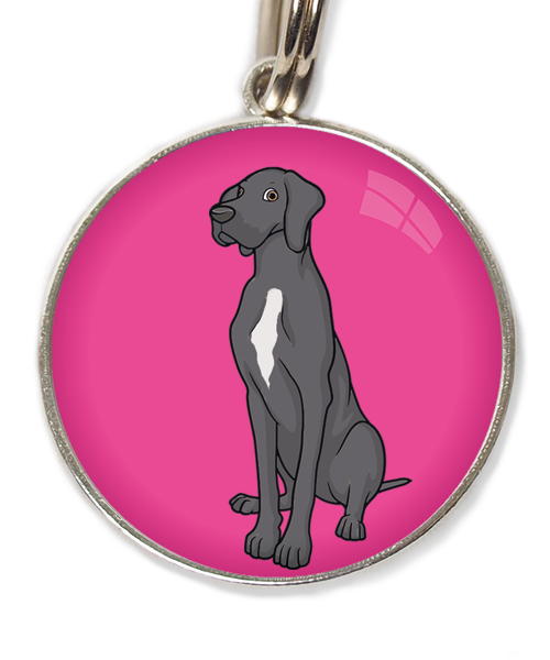 deense-dog-donker-grijs-witte-vlek-huisdierpenning-fushia