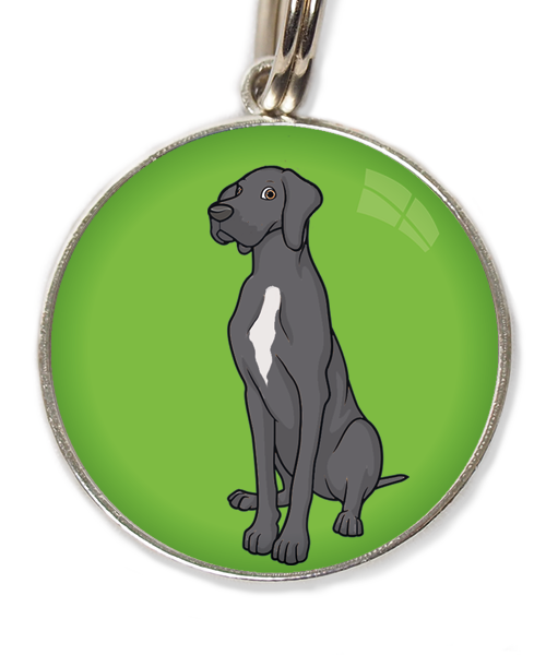 deense-dog-donker-grijs-witte-vlek-huisdierpenning-groen