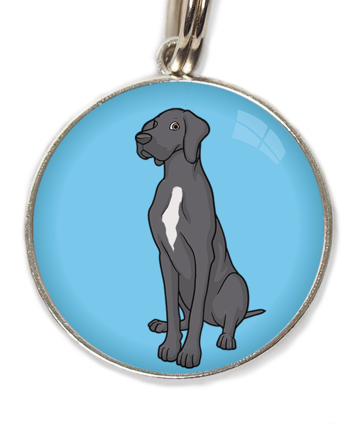 deense-dog-donker-grijs-witte-vlek-huisdierpenning-lichtblauw