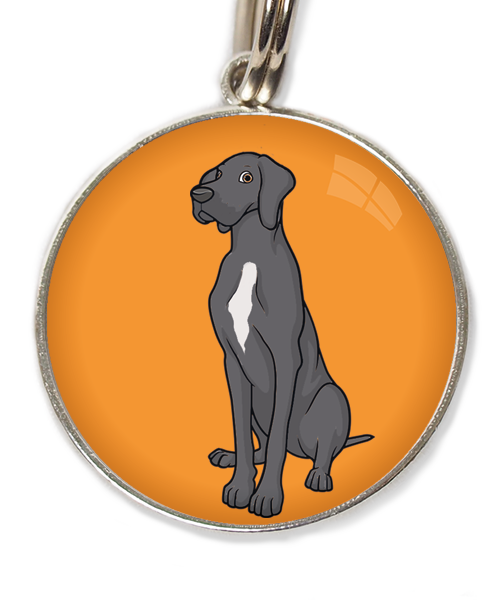 deense-dog-donker-grijs-witte-vlek-huisdierpenning-oranje