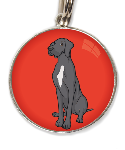 deense-dog-donker-grijs-witte-vlek-huisdierpenning-rood