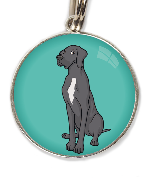 deense-dog-donker-grijs-witte-vlek-huisdierpenning-turquoise