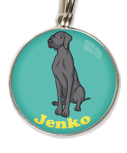 donker-grijs-deense-dog-met-naam-los-huisdierpenning-turquoise