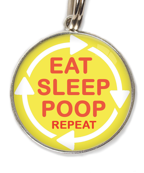 eat-sleep-poop-repeat-huisdierpenning-geel