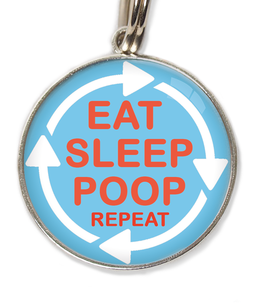 eat-sleep-poop-repeat-huisdierpenning-lichtblauw