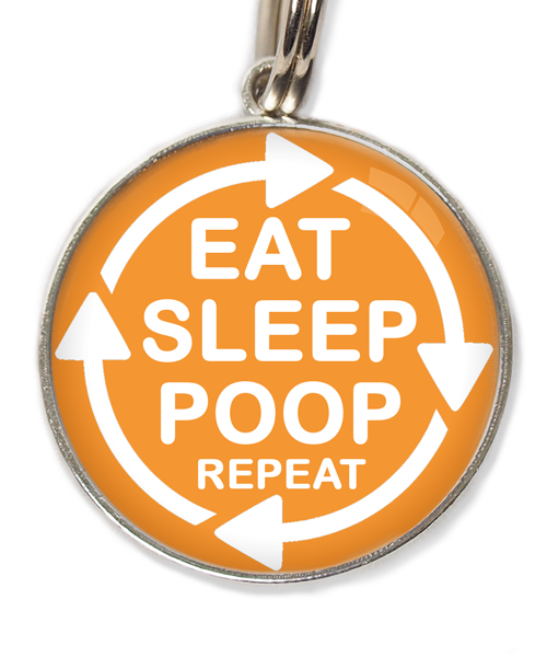 eat-sleep-poop-repeat-huisdierpenning-oranje