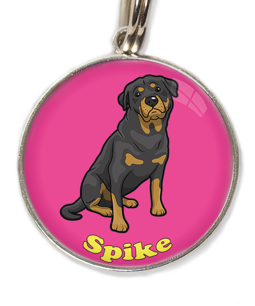 rottweiler-met-naam-los-huisdierpenning-fushia