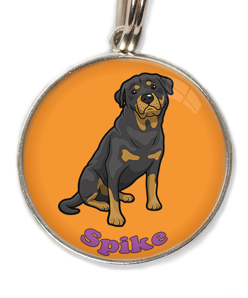 rottweiler-met-naam-los-huisdierpenning-oranje