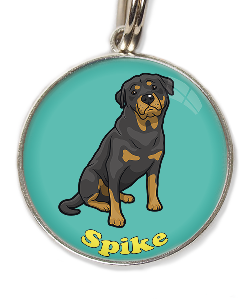 rottweiler-met-naam-los-huisdierpenning-turquoise