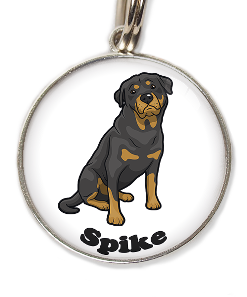 rottweiler-met-naam-los-huisdierpenning-wit