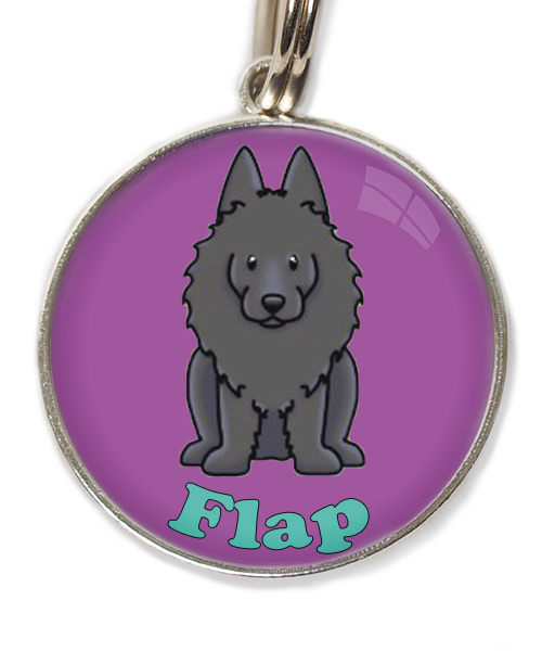 schipperke-met-naam-los-huisdierpenning-lilla