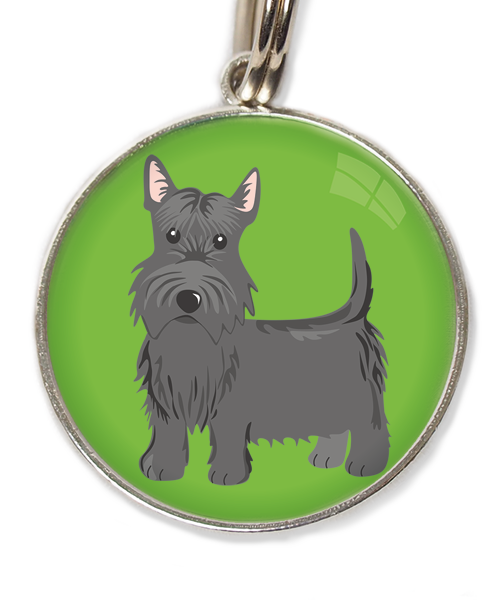 schotse-terrier-huisdierpenning-groen