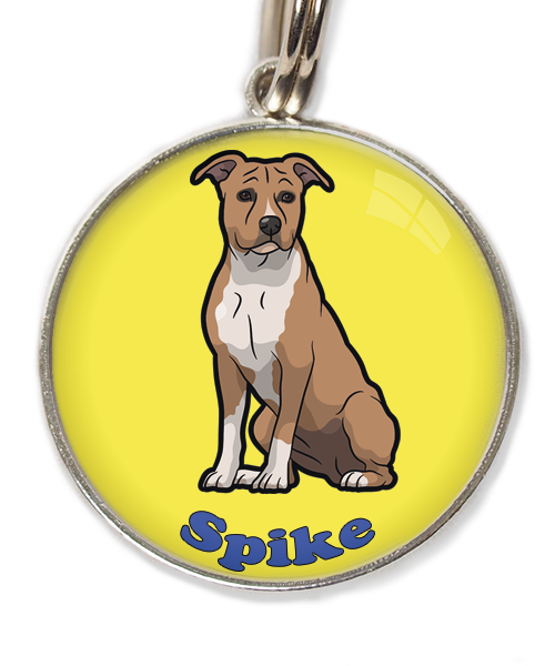 stafford-bruin-wit-met-naam-los-huisdierpenning-geel