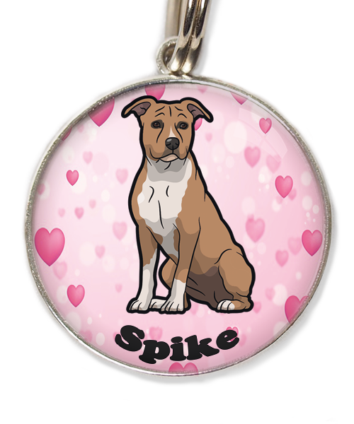 stafford-bruin-wit-met-naam-los-huisdierpenning-hartjes