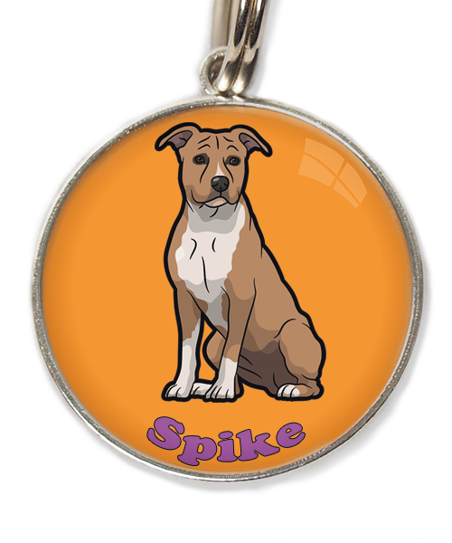 stafford-bruin-wit-met-naam-los-huisdierpenning-oranje