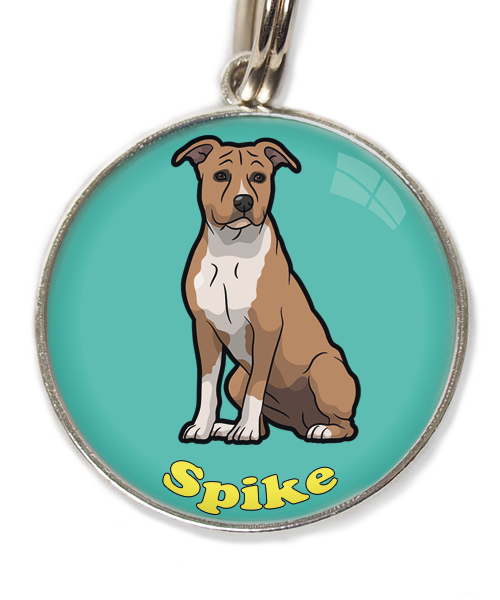 stafford-bruin-wit-met-naam-los-huisdierpenning-turquoise