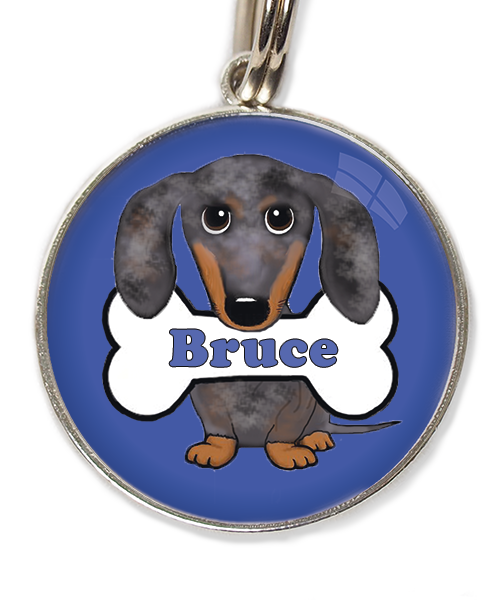 teckel gevlekt met naam huisdierpenning blauw