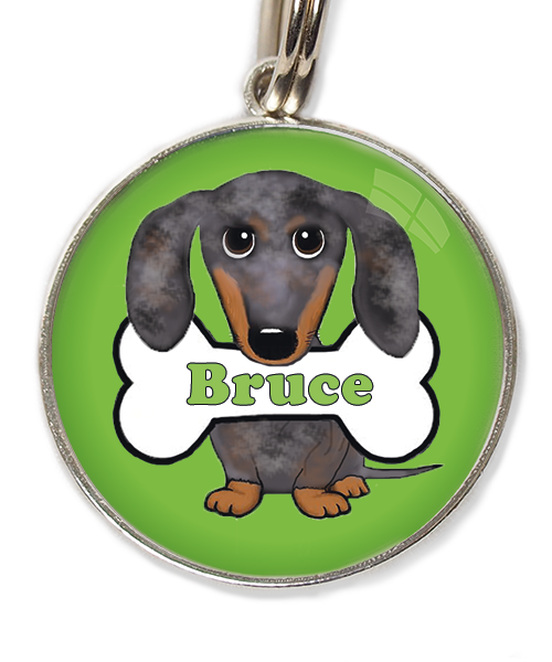 teckel gevlekt met naam huisdierpenning groen