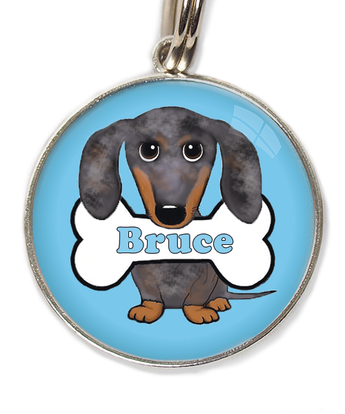 teckel gevlekt met naam huisdierpenning lichtblauw