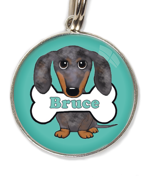 teckel gevlekt met naam huisdierpenning turquoise