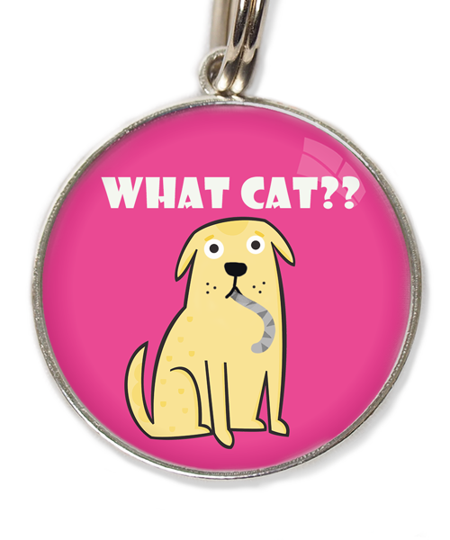 what-cat-huisdierpenning-fushia