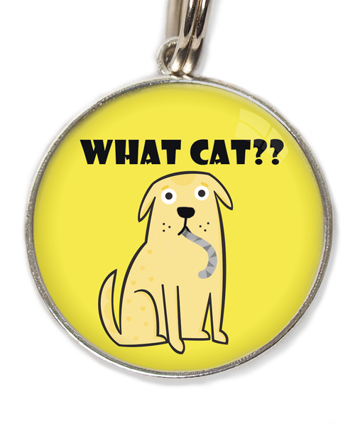 what-cat-huisdierpenning-geel