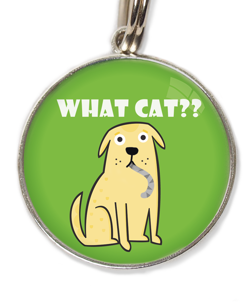 what-cat-huisdierpenning-groen