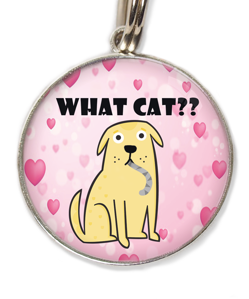 what-cat-huisdierpenning-hartjes