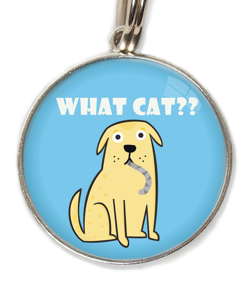 what-cat-huisdierpenning-lichtblauw