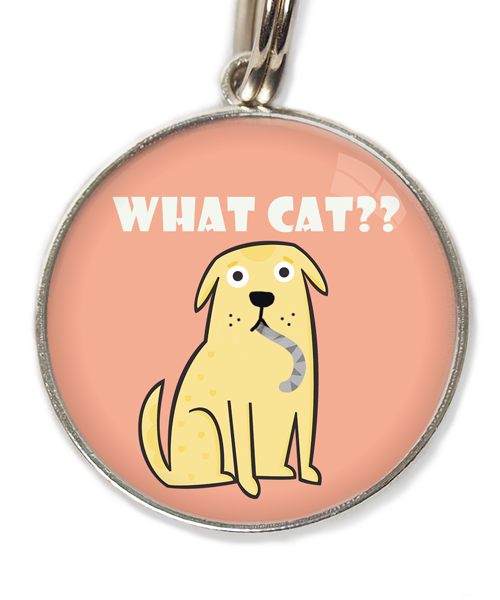 what-cat-huisdierpenning-peach