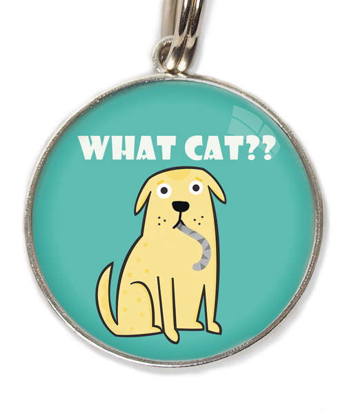 what-cat-huisdierpenning-turquoise