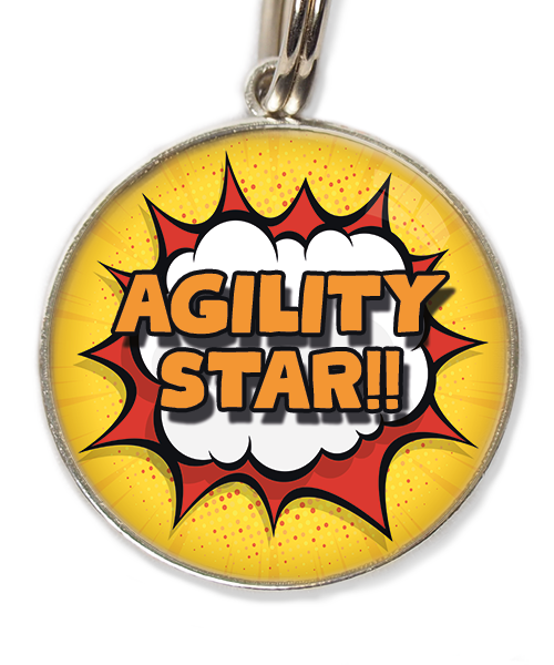 agility-star-huisdierpenning-oranje