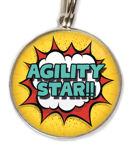agility-star-huisdierpenning-turquoise