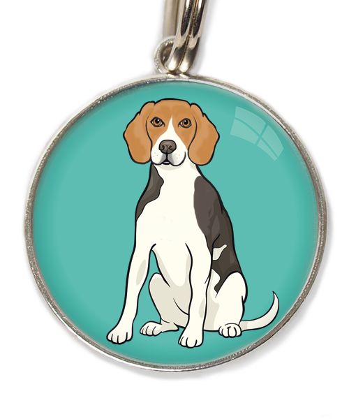 beagle-huisdierpenning-turquoise