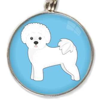 Bichon frisé