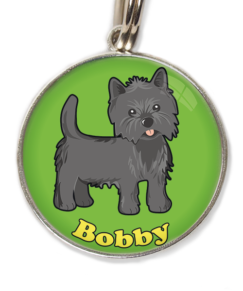 cairn-terrier-met-naam-los-huisdierpenning-groen