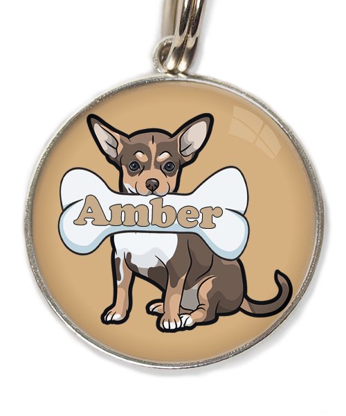 chihuahua-tricolor-chocolate-met-naam-been-huisdierpenning-beige-1