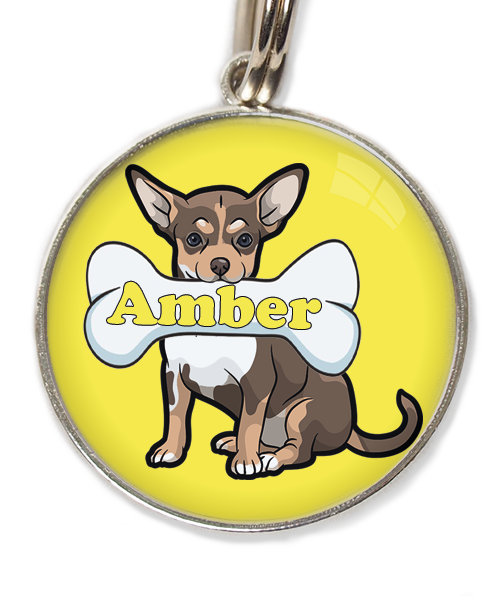 chihuahua-tricolor-chocolate-met-naam-been-huisdierpenning-geel