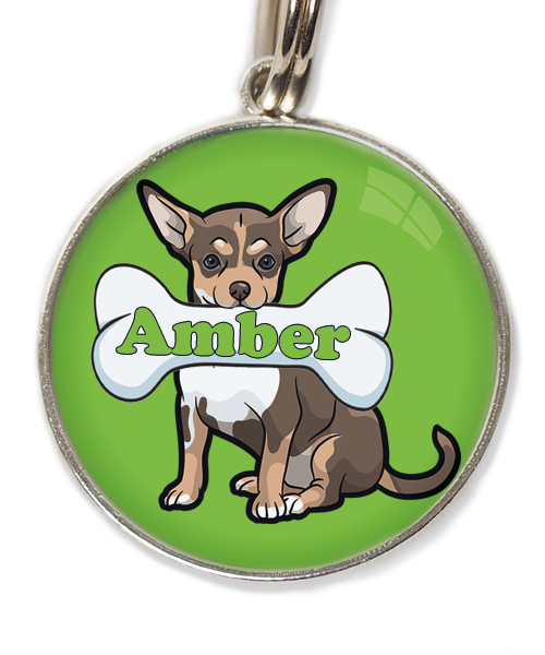 chihuahua-tricolor-chocolate-met-naam-been-huisdierpenning-groen