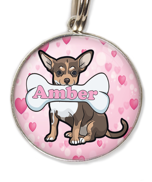 chihuahua-tricolor-chocolate-met-naam-been-huisdierpenning-hartjes