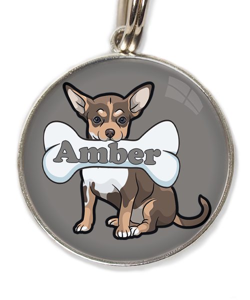 chihuahua-tricolor-chocolate-met-naam-been-huisdierpenning-lichtgrijs