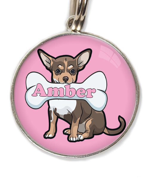 chihuahua-tricolor-chocolate-met-naam-been-huisdierpenning-lichtroos