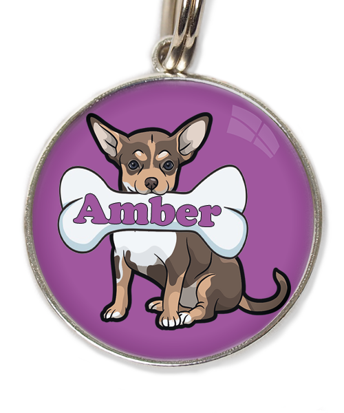 chihuahua-tricolor-chocolate-met-naam-been-huisdierpenning-lilla