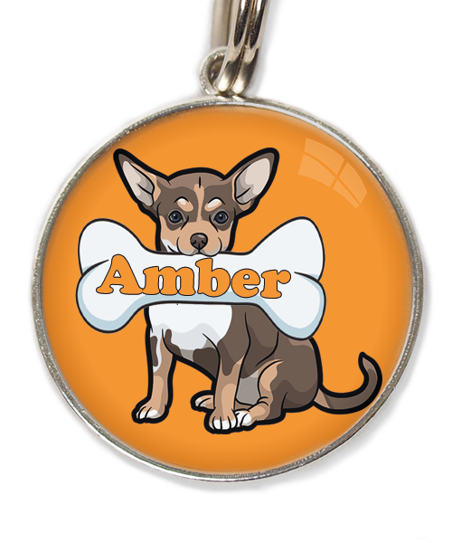 chihuahua-tricolor-chocolate-met-naam-been-huisdierpenning-oranje