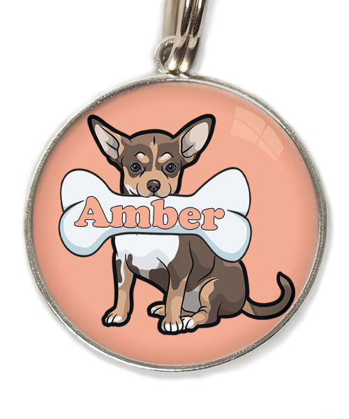 chihuahua-tricolor-chocolate-met-naam-been-huisdierpenning-peach